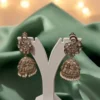 Chandni Elegance Mint Green and Pink Jhumkis
