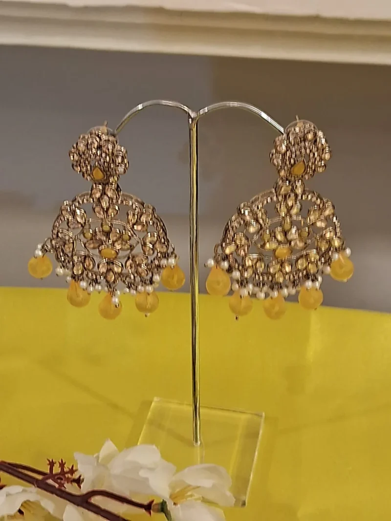 Rani Reverse AD Yellow Danglers - Image 3